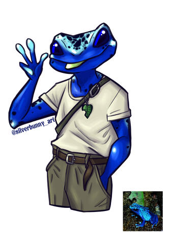 Blue Poison Dart boy